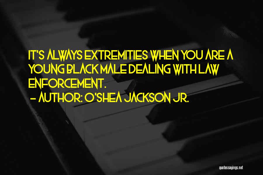 O'Shea Jackson Jr. Quotes: It's Always Extremities When You Are A Young Black Male Dealing With Law Enforcement.