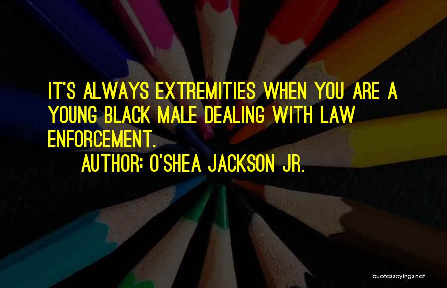 O'Shea Jackson Jr. Quotes: It's Always Extremities When You Are A Young Black Male Dealing With Law Enforcement.