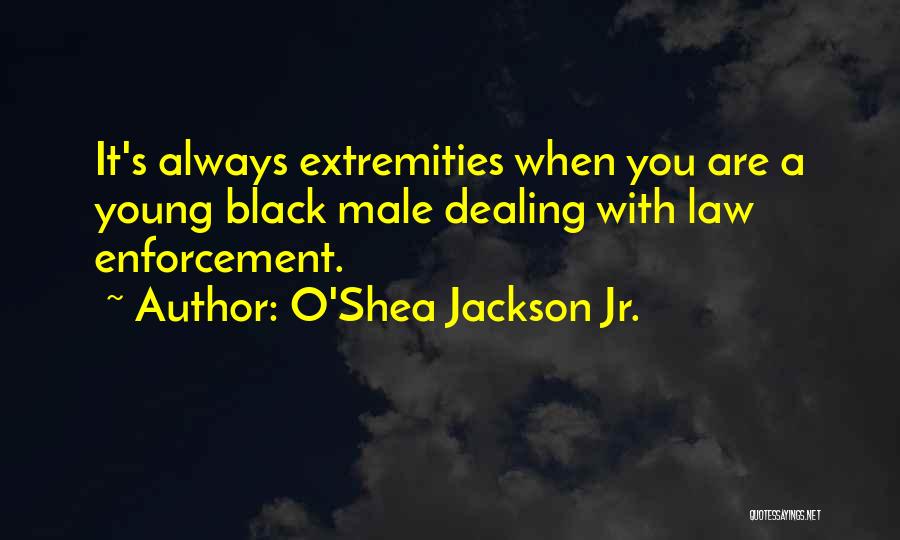 O'Shea Jackson Jr. Quotes: It's Always Extremities When You Are A Young Black Male Dealing With Law Enforcement.