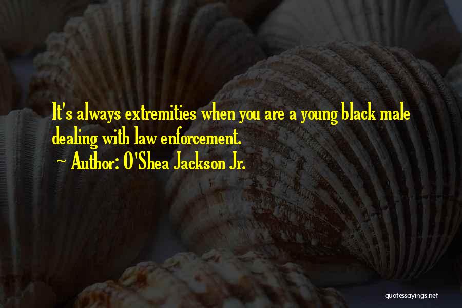 O'Shea Jackson Jr. Quotes: It's Always Extremities When You Are A Young Black Male Dealing With Law Enforcement.