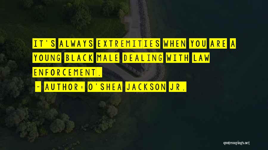 O'Shea Jackson Jr. Quotes: It's Always Extremities When You Are A Young Black Male Dealing With Law Enforcement.
