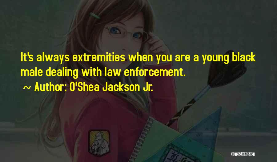 O'Shea Jackson Jr. Quotes: It's Always Extremities When You Are A Young Black Male Dealing With Law Enforcement.