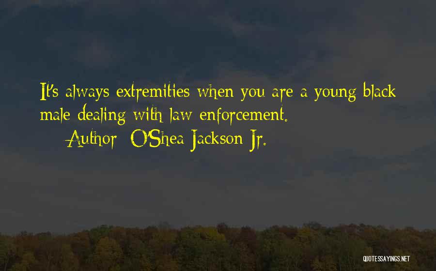 O'Shea Jackson Jr. Quotes: It's Always Extremities When You Are A Young Black Male Dealing With Law Enforcement.