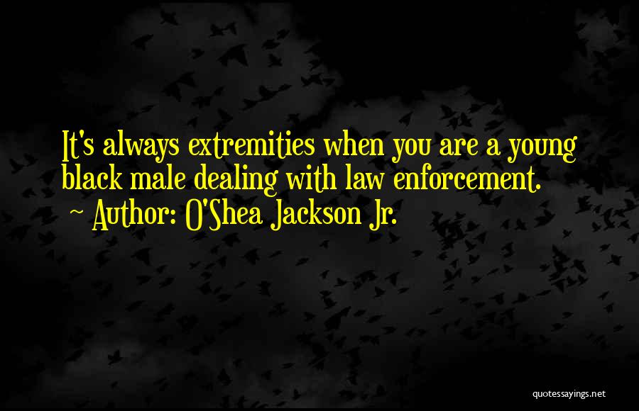 O'Shea Jackson Jr. Quotes: It's Always Extremities When You Are A Young Black Male Dealing With Law Enforcement.