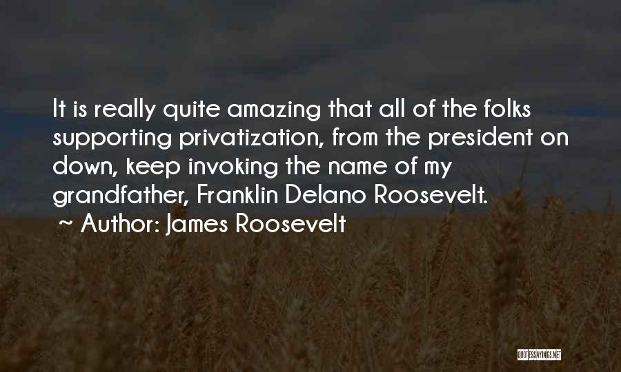 James Roosevelt Quotes: It Is Really Quite Amazing That All Of The Folks Supporting Privatization, From The President On Down, Keep Invoking The