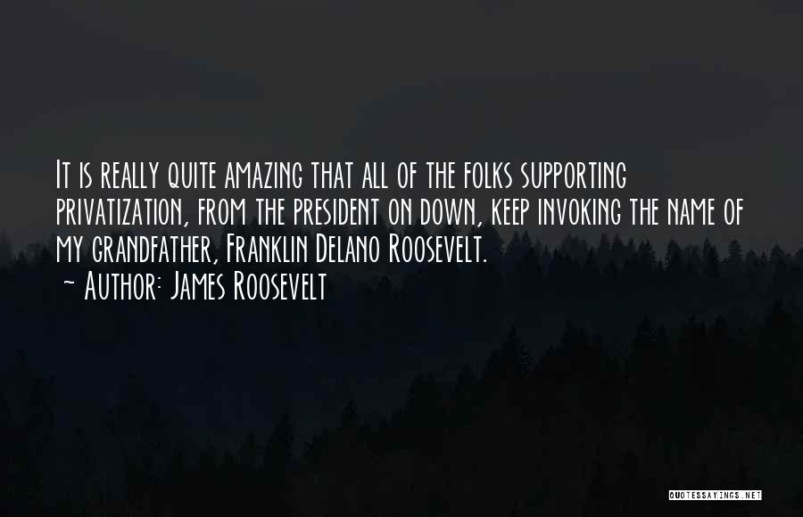 James Roosevelt Quotes: It Is Really Quite Amazing That All Of The Folks Supporting Privatization, From The President On Down, Keep Invoking The