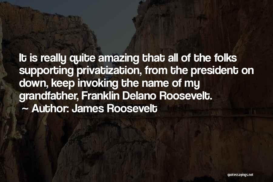 James Roosevelt Quotes: It Is Really Quite Amazing That All Of The Folks Supporting Privatization, From The President On Down, Keep Invoking The