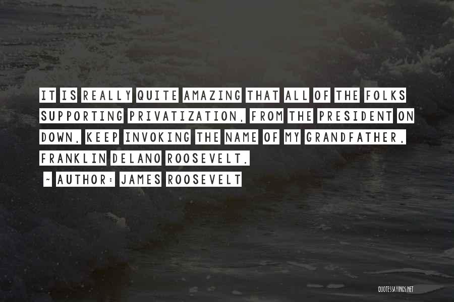 James Roosevelt Quotes: It Is Really Quite Amazing That All Of The Folks Supporting Privatization, From The President On Down, Keep Invoking The