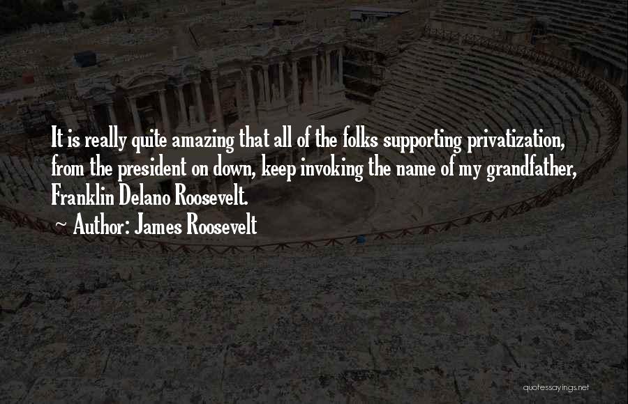 James Roosevelt Quotes: It Is Really Quite Amazing That All Of The Folks Supporting Privatization, From The President On Down, Keep Invoking The