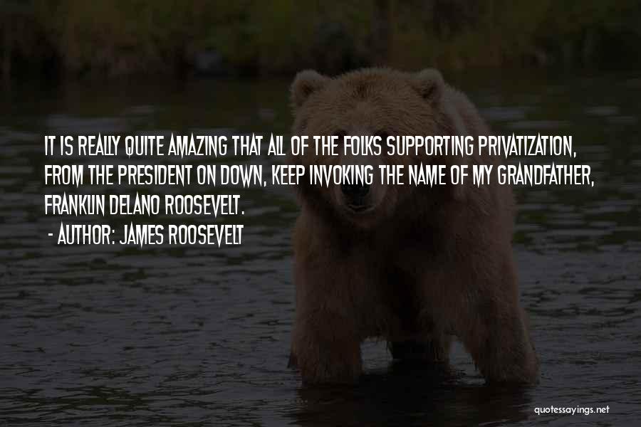 James Roosevelt Quotes: It Is Really Quite Amazing That All Of The Folks Supporting Privatization, From The President On Down, Keep Invoking The