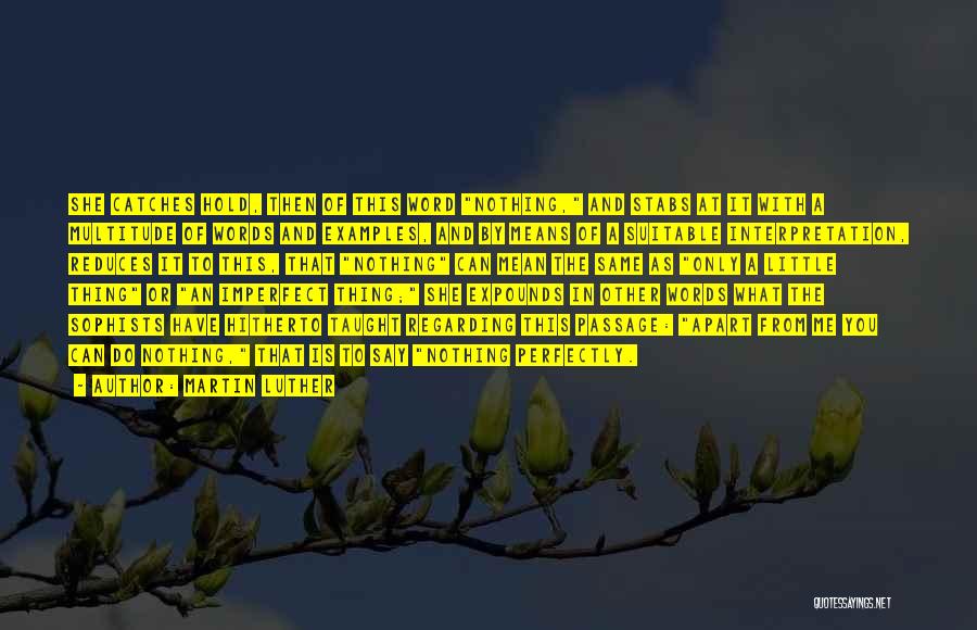 Martin Luther Quotes: She Catches Hold, Then Of This Word Nothing, And Stabs At It With A Multitude Of Words And Examples, And