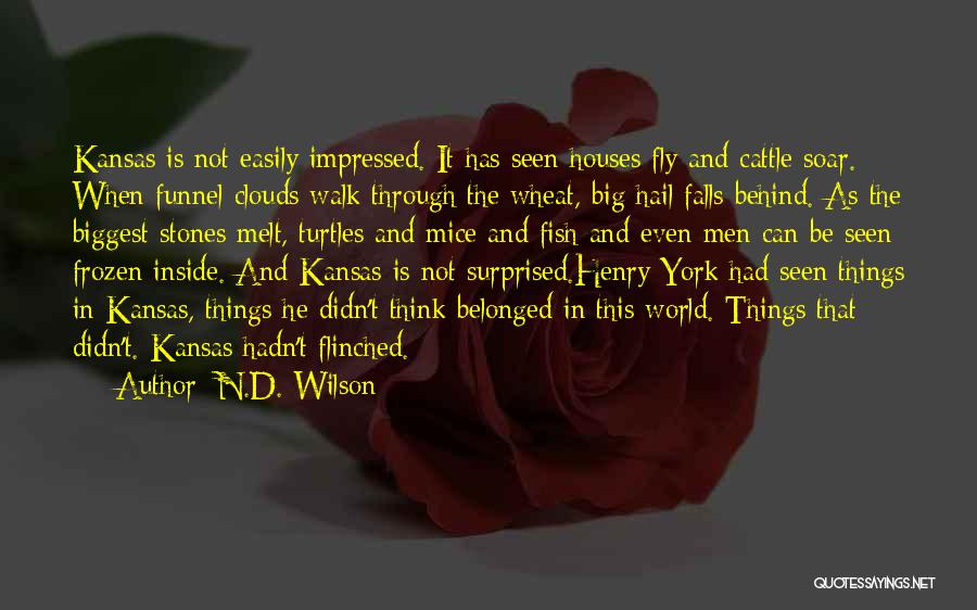 N.D. Wilson Quotes: Kansas Is Not Easily Impressed. It Has Seen Houses Fly And Cattle Soar. When Funnel Clouds Walk Through The Wheat,