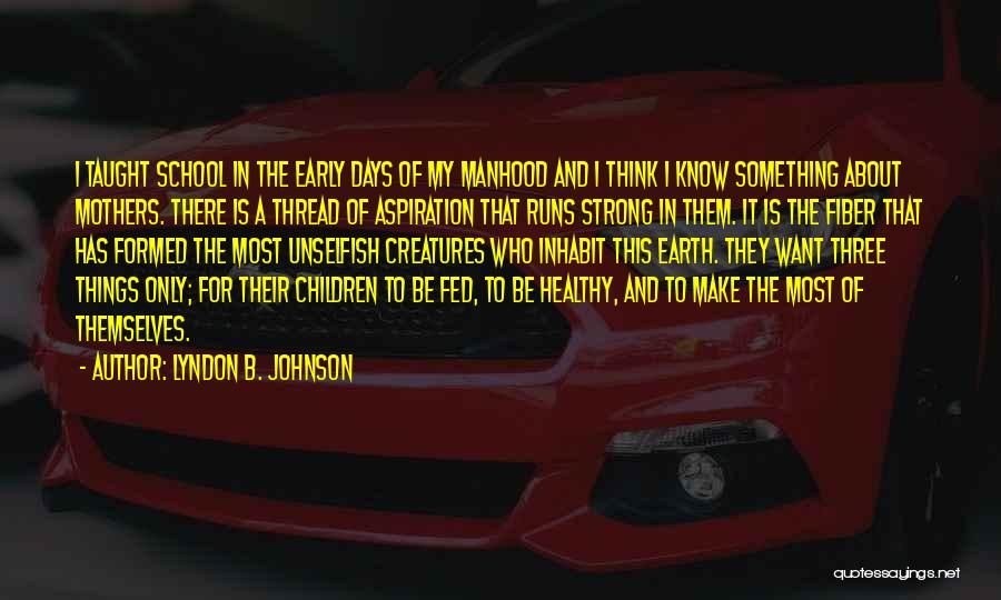 Lyndon B. Johnson Quotes: I Taught School In The Early Days Of My Manhood And I Think I Know Something About Mothers. There Is