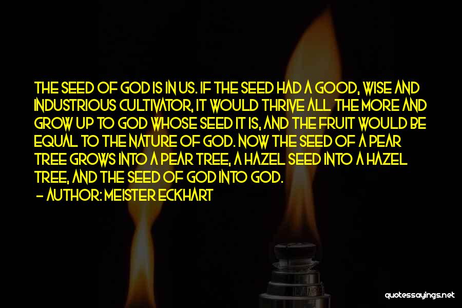 Meister Eckhart Quotes: The Seed Of God Is In Us. If The Seed Had A Good, Wise And Industrious Cultivator, It Would Thrive