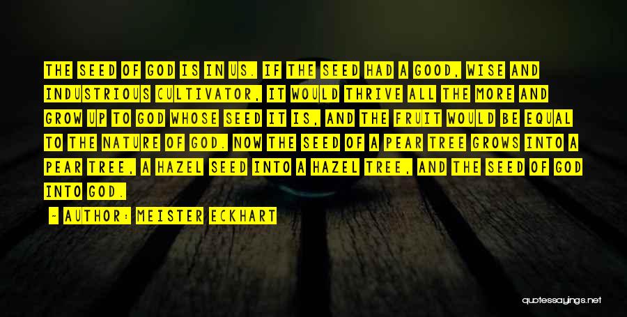 Meister Eckhart Quotes: The Seed Of God Is In Us. If The Seed Had A Good, Wise And Industrious Cultivator, It Would Thrive