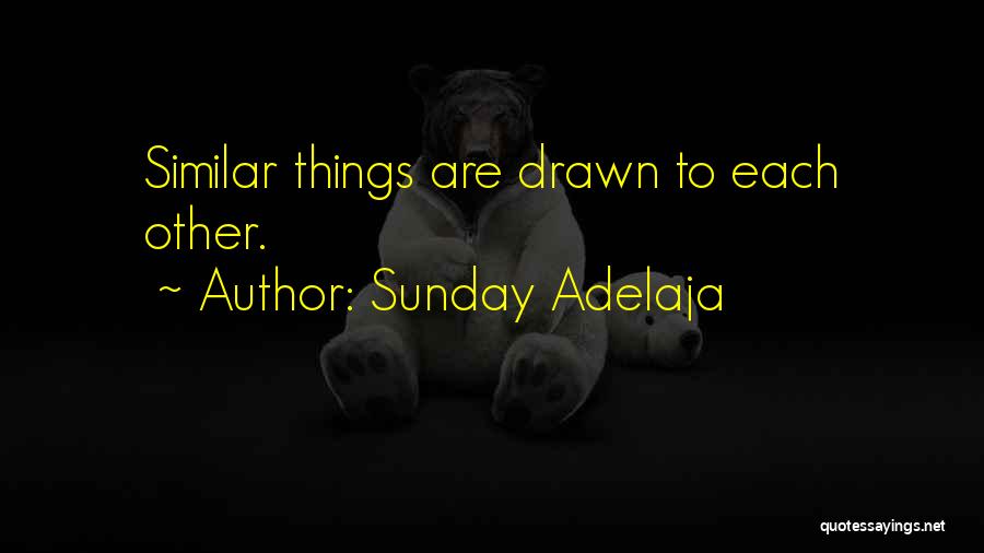 Sunday Adelaja Quotes: Similar Things Are Drawn To Each Other.
