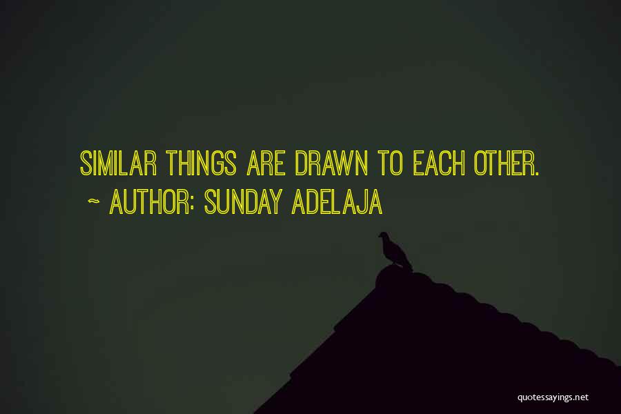 Sunday Adelaja Quotes: Similar Things Are Drawn To Each Other.