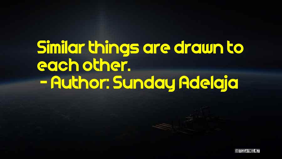 Sunday Adelaja Quotes: Similar Things Are Drawn To Each Other.