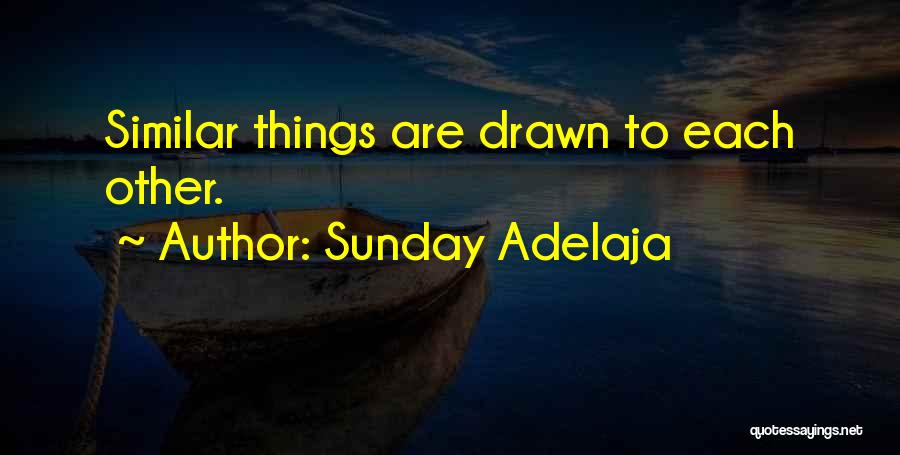 Sunday Adelaja Quotes: Similar Things Are Drawn To Each Other.