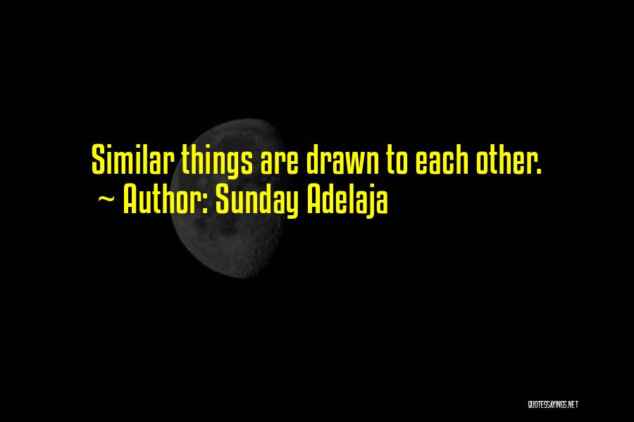 Sunday Adelaja Quotes: Similar Things Are Drawn To Each Other.