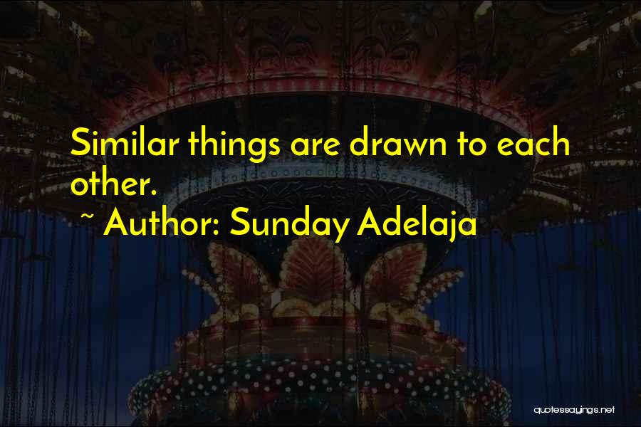 Sunday Adelaja Quotes: Similar Things Are Drawn To Each Other.