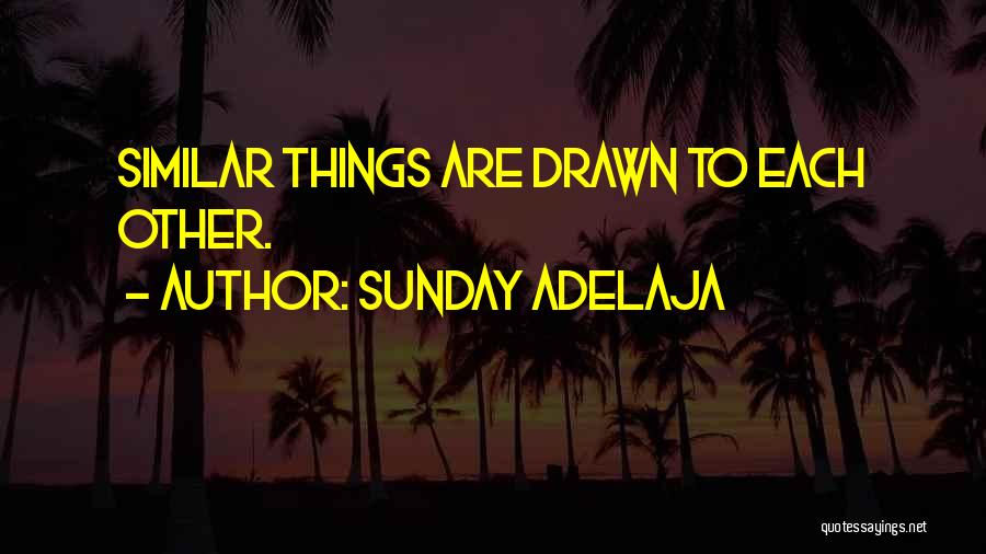 Sunday Adelaja Quotes: Similar Things Are Drawn To Each Other.