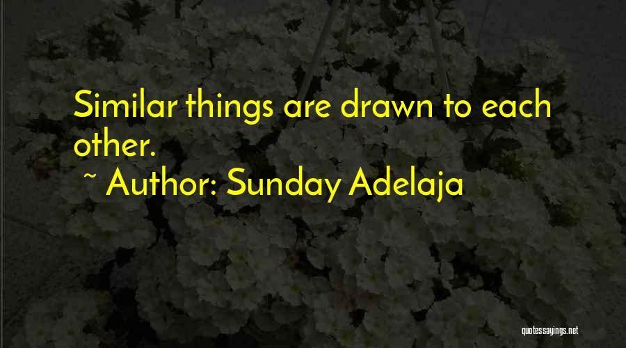 Sunday Adelaja Quotes: Similar Things Are Drawn To Each Other.