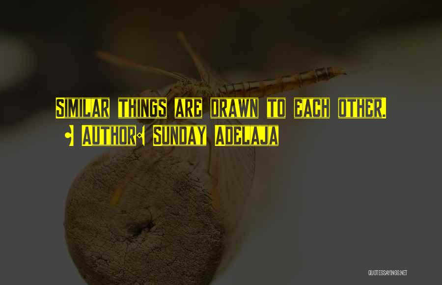 Sunday Adelaja Quotes: Similar Things Are Drawn To Each Other.