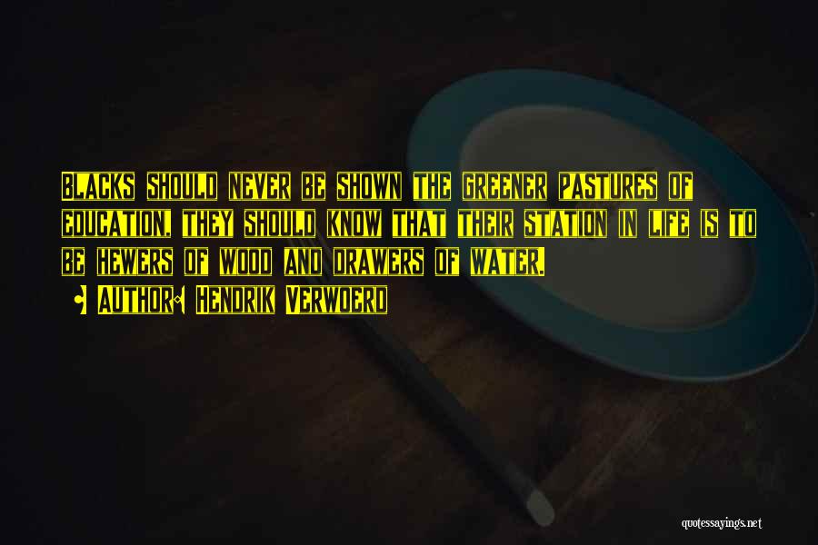 Hendrik Verwoerd Quotes: Blacks Should Never Be Shown The Greener Pastures Of Education, They Should Know That Their Station In Life Is To