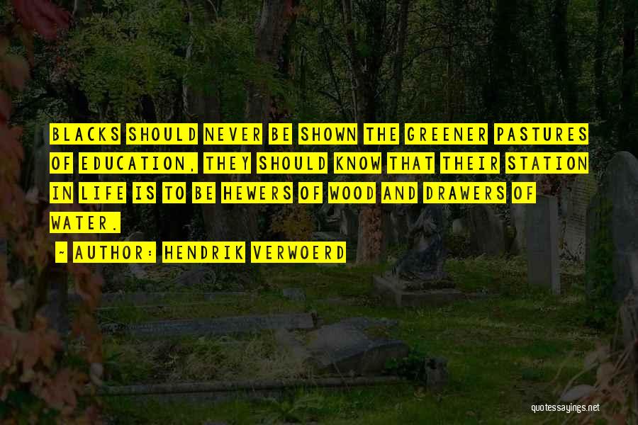 Hendrik Verwoerd Quotes: Blacks Should Never Be Shown The Greener Pastures Of Education, They Should Know That Their Station In Life Is To