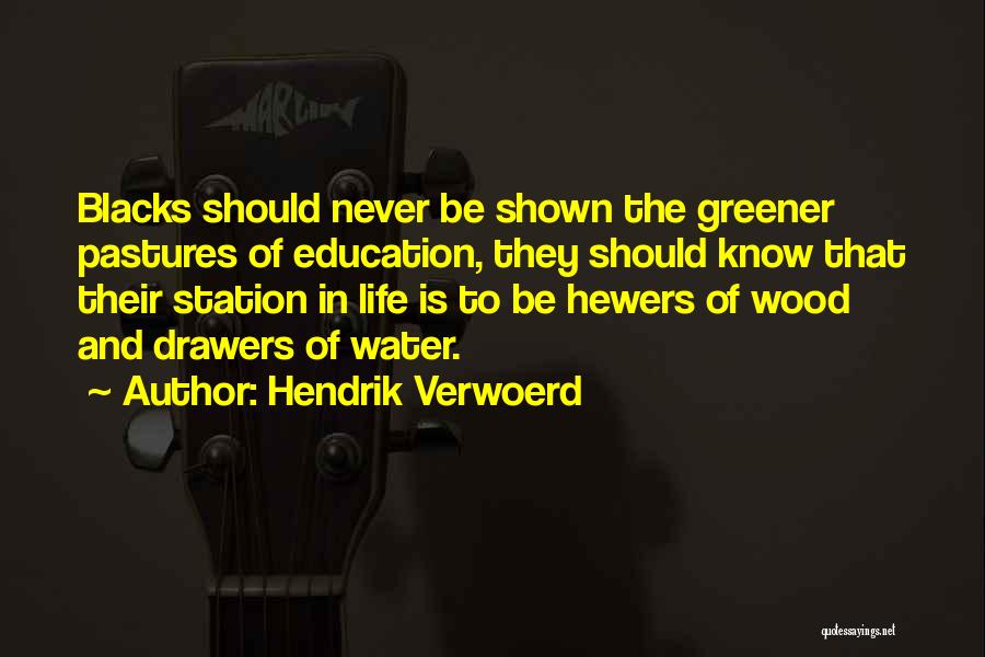 Hendrik Verwoerd Quotes: Blacks Should Never Be Shown The Greener Pastures Of Education, They Should Know That Their Station In Life Is To