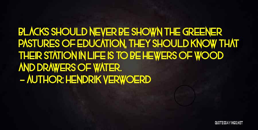 Hendrik Verwoerd Quotes: Blacks Should Never Be Shown The Greener Pastures Of Education, They Should Know That Their Station In Life Is To