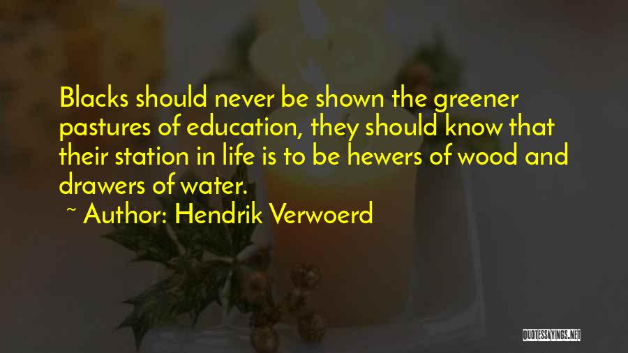 Hendrik Verwoerd Quotes: Blacks Should Never Be Shown The Greener Pastures Of Education, They Should Know That Their Station In Life Is To
