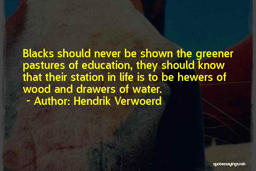 Hendrik Verwoerd Quotes: Blacks Should Never Be Shown The Greener Pastures Of Education, They Should Know That Their Station In Life Is To