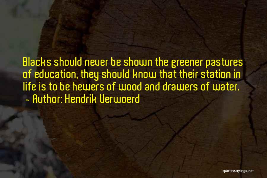 Hendrik Verwoerd Quotes: Blacks Should Never Be Shown The Greener Pastures Of Education, They Should Know That Their Station In Life Is To