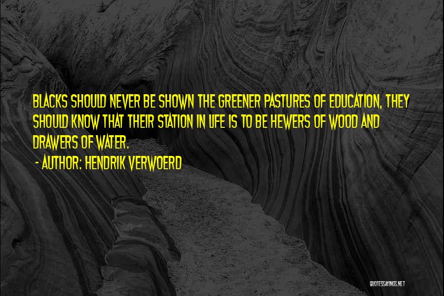 Hendrik Verwoerd Quotes: Blacks Should Never Be Shown The Greener Pastures Of Education, They Should Know That Their Station In Life Is To