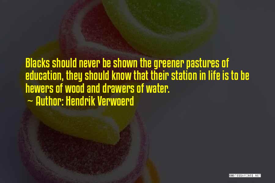 Hendrik Verwoerd Quotes: Blacks Should Never Be Shown The Greener Pastures Of Education, They Should Know That Their Station In Life Is To