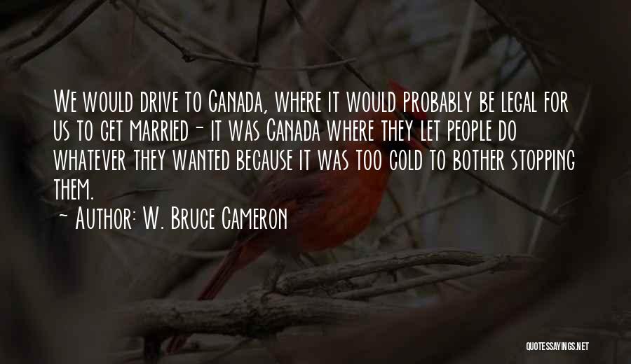 W. Bruce Cameron Quotes: We Would Drive To Canada, Where It Would Probably Be Legal For Us To Get Married- It Was Canada Where