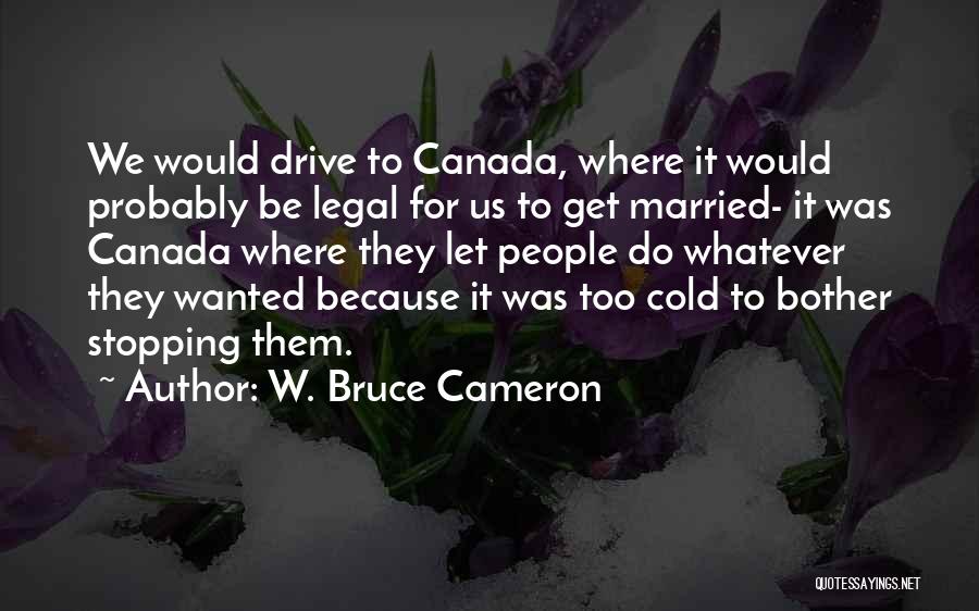 W. Bruce Cameron Quotes: We Would Drive To Canada, Where It Would Probably Be Legal For Us To Get Married- It Was Canada Where