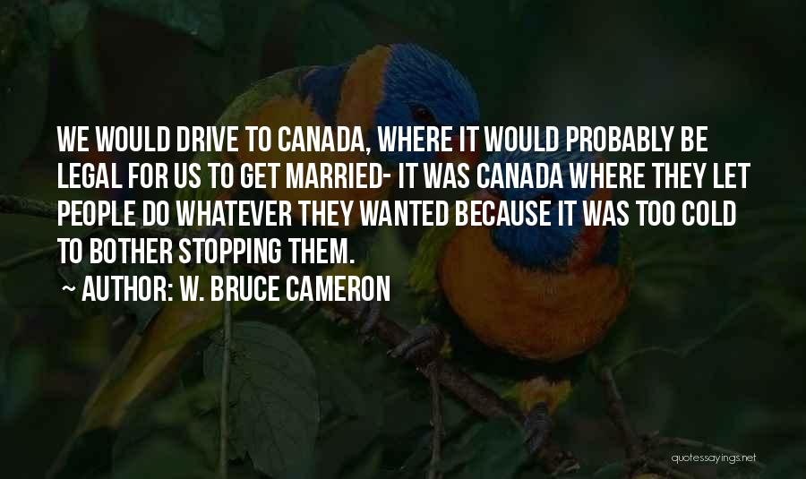 W. Bruce Cameron Quotes: We Would Drive To Canada, Where It Would Probably Be Legal For Us To Get Married- It Was Canada Where