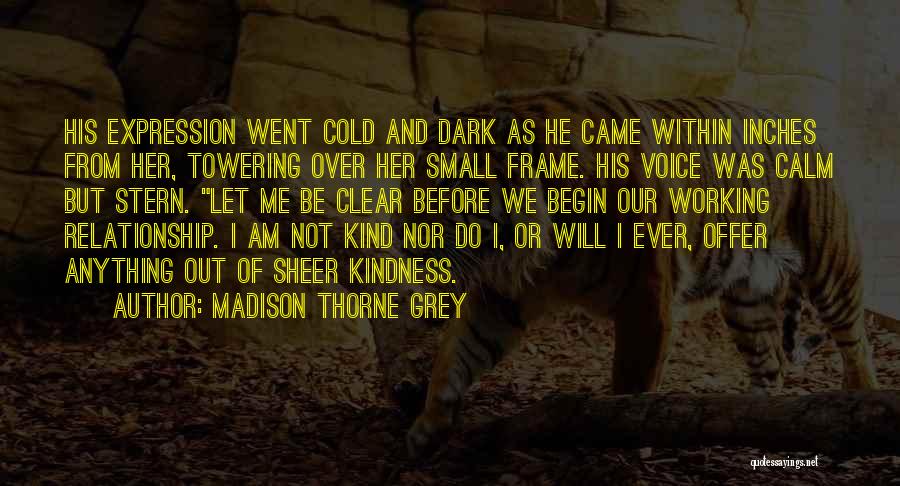 Madison Thorne Grey Quotes: His Expression Went Cold And Dark As He Came Within Inches From Her, Towering Over Her Small Frame. His Voice