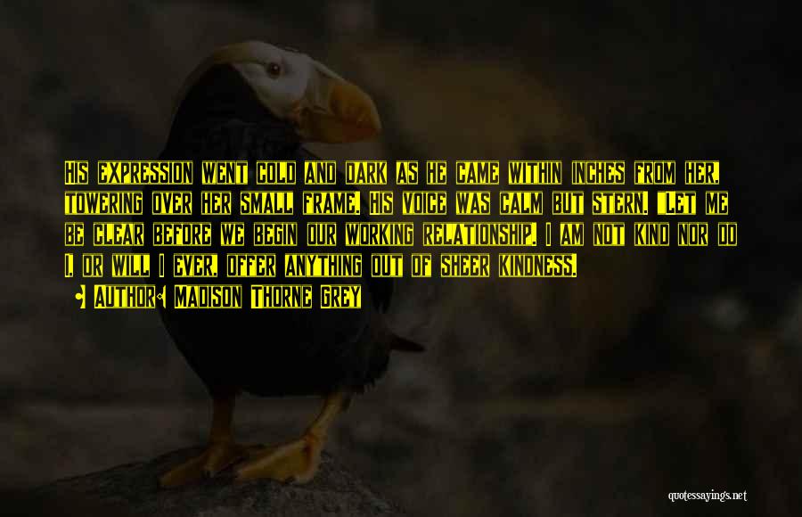 Madison Thorne Grey Quotes: His Expression Went Cold And Dark As He Came Within Inches From Her, Towering Over Her Small Frame. His Voice