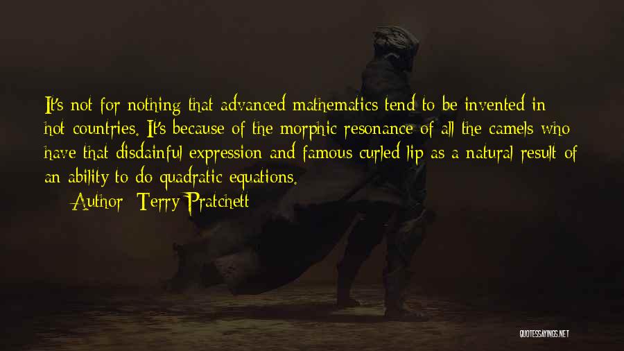 Terry Pratchett Quotes: It's Not For Nothing That Advanced Mathematics Tend To Be Invented In Hot Countries. It's Because Of The Morphic Resonance