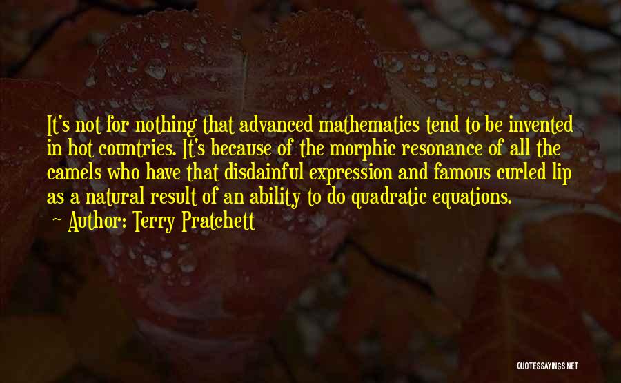 Terry Pratchett Quotes: It's Not For Nothing That Advanced Mathematics Tend To Be Invented In Hot Countries. It's Because Of The Morphic Resonance