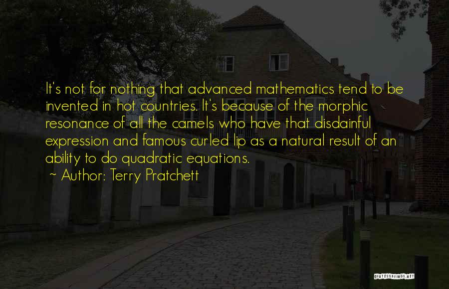 Terry Pratchett Quotes: It's Not For Nothing That Advanced Mathematics Tend To Be Invented In Hot Countries. It's Because Of The Morphic Resonance