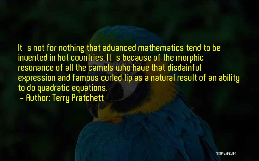 Terry Pratchett Quotes: It's Not For Nothing That Advanced Mathematics Tend To Be Invented In Hot Countries. It's Because Of The Morphic Resonance