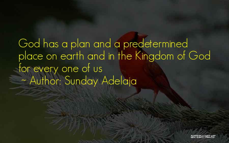 Sunday Adelaja Quotes: God Has A Plan And A Predetermined Place On Earth And In The Kingdom Of God For Every One Of