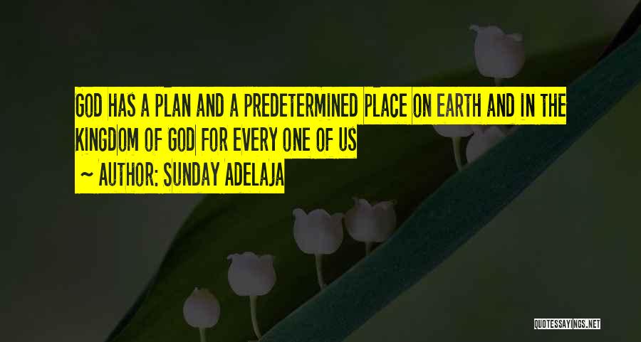 Sunday Adelaja Quotes: God Has A Plan And A Predetermined Place On Earth And In The Kingdom Of God For Every One Of