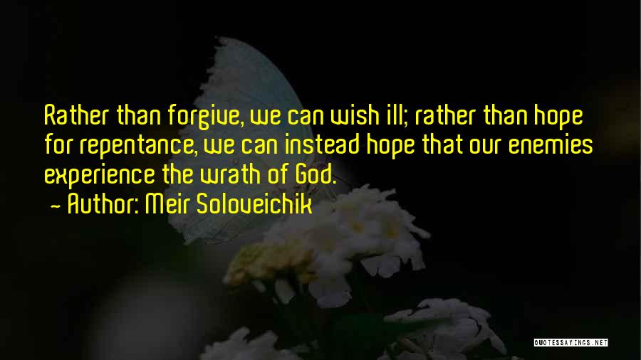 Meir Soloveichik Quotes: Rather Than Forgive, We Can Wish Ill; Rather Than Hope For Repentance, We Can Instead Hope That Our Enemies Experience