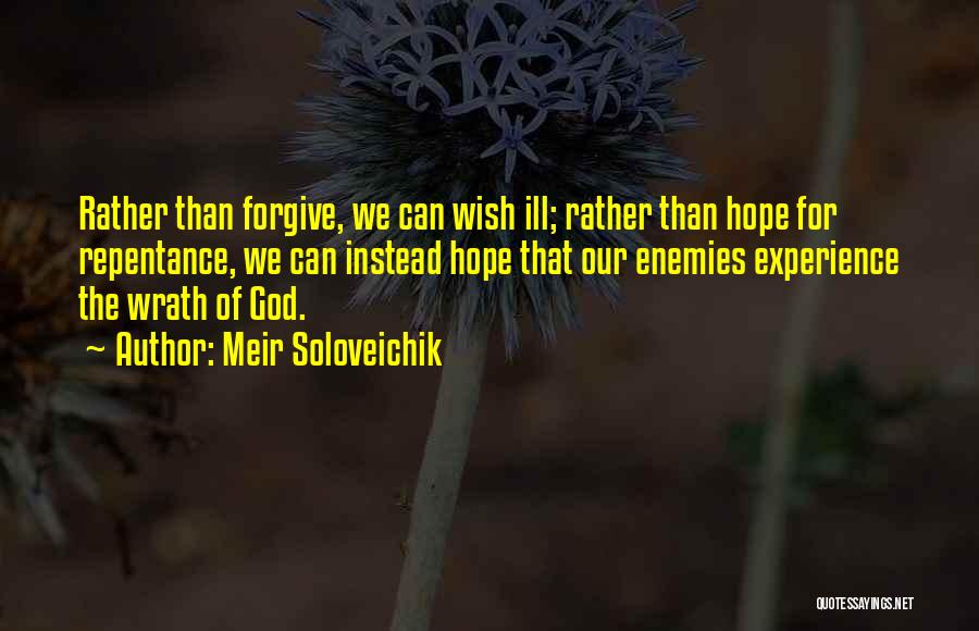 Meir Soloveichik Quotes: Rather Than Forgive, We Can Wish Ill; Rather Than Hope For Repentance, We Can Instead Hope That Our Enemies Experience
